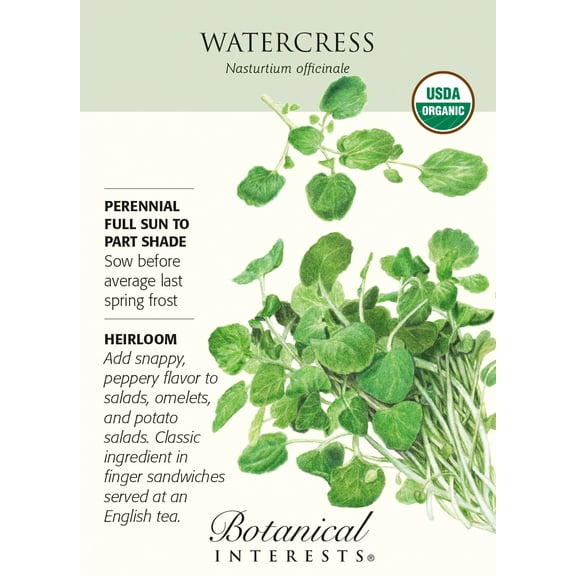 Organic Watercress Seeds - 200 mg - Nasturtium officinale