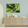 thumbnail image 3 of Stupell Industries Swaying Palm Leaves Botanical & Floral Photography Gallery Wrapped Canvas Art Print Wall Art, 45 x 30, 3 of 8