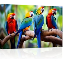ZHONGYUTONG Parrot Canvas Wall Art Tropical Macaw Birds on Branch Picture Prints Forest Colorful Animal Painting for Pet Shop Zoo Decor Framed (12.00" x 18.00")