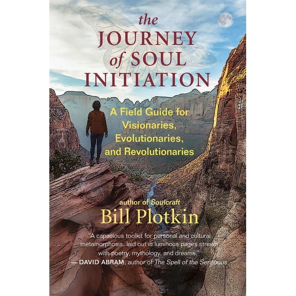 The Journey of Soul Initiation (Paperback)