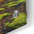 thumbnail image 3 of Epic Art 'Torridon' by Everlook Photography, Acrylic Glass Wall Art, 48"x24", 3 of 8