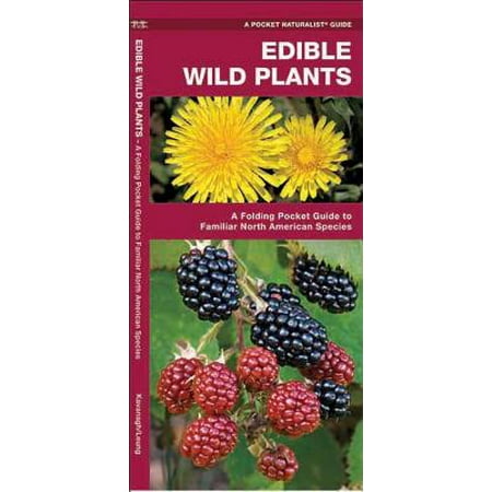 Plant Species - Edible Wild Plants : A Folding Pocket Guide to Familiar North American Species