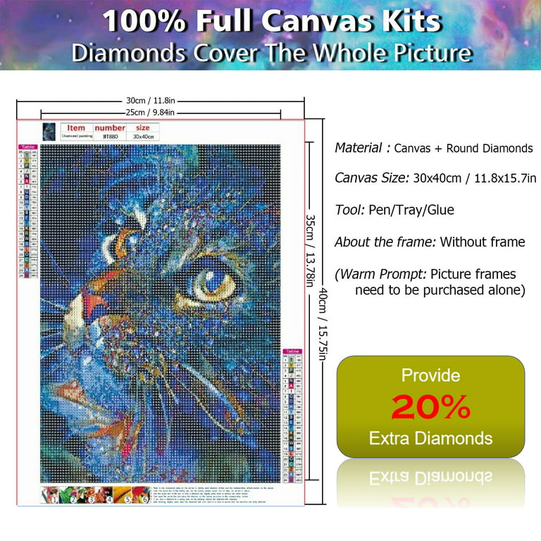 YALKIN Cat 5D Diamond Painting Kits for Adults Kids Beginners DIY Full  Round Drill Embroidery Pictures Paint by Diamonds Kits for Home Wall Decor  