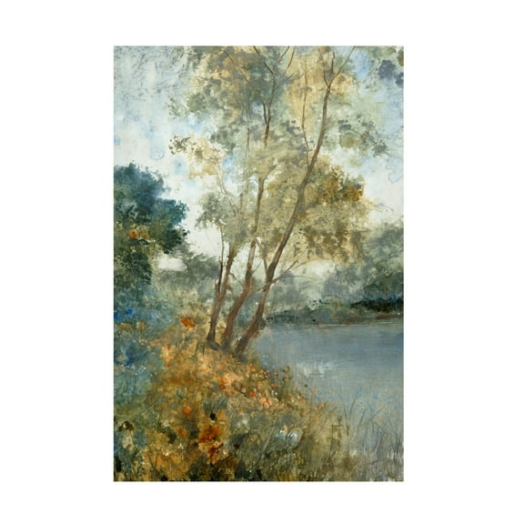 Trademark Fine Art Tim OToole Ethereal Waters I Canvas Wall Art - 12x19