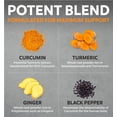 thumbnail image 5 of Pure Co Organic Turmeric Curcumin Capsules with Black Pepper & Ginger, 60 Count | Turmeric Herbal Supplement, 5 of 7