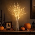 thumbnail image 5 of 80cm Lighted Birch Branches with 50 LED and Timer Function 2 Piece Artificial Twig Lights for Indoor Seasonal Decoration, 5 of 7