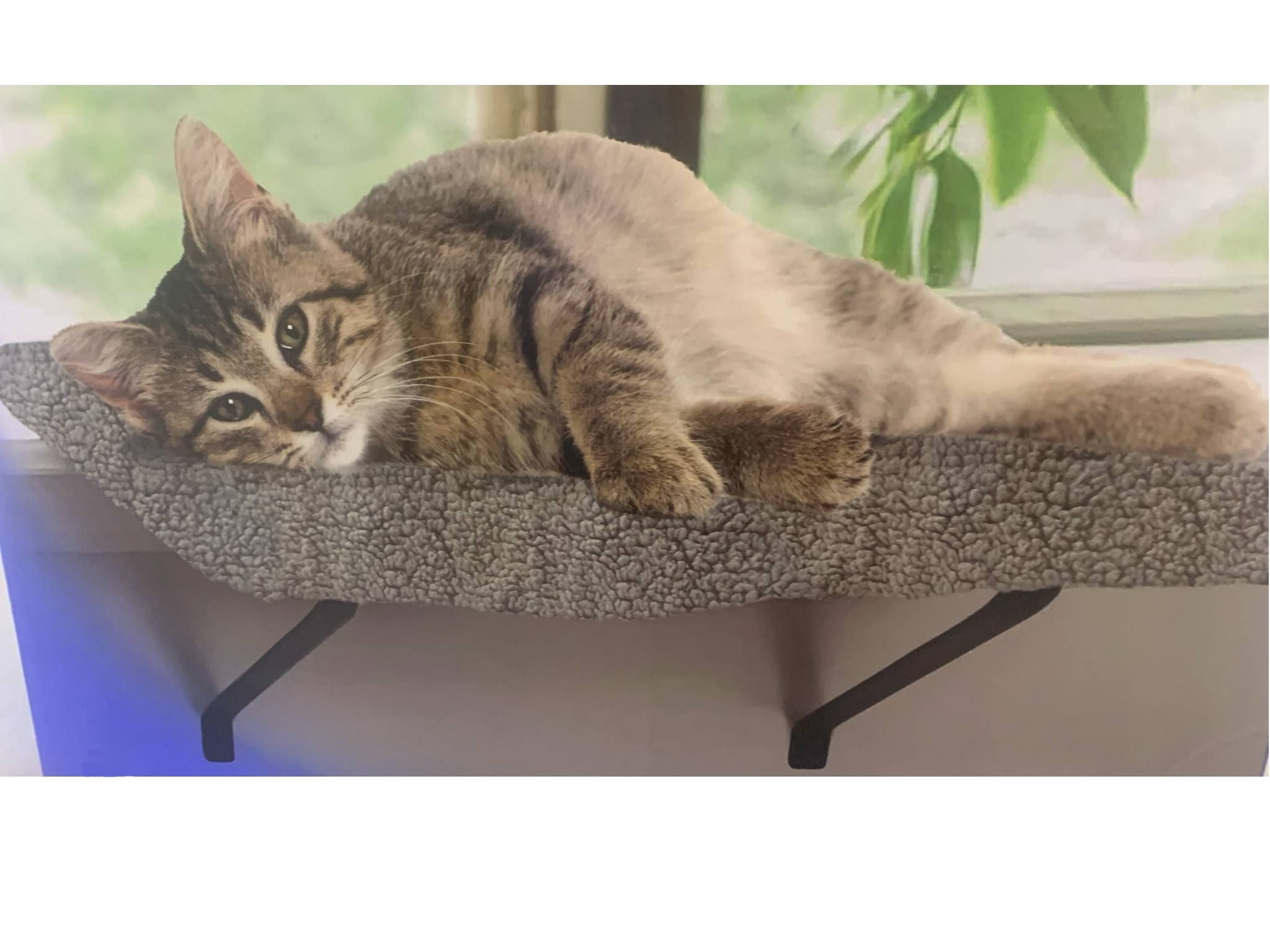 CatNapz Memory Foam Window Perch Cat Perch Holds up to 35 Pounds Fits all Window