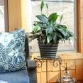 thumbnail image 2 of Sunnydaze Molly Metal Planter - 12.5 in - Matte Gray - Set of 4, 2 of 6