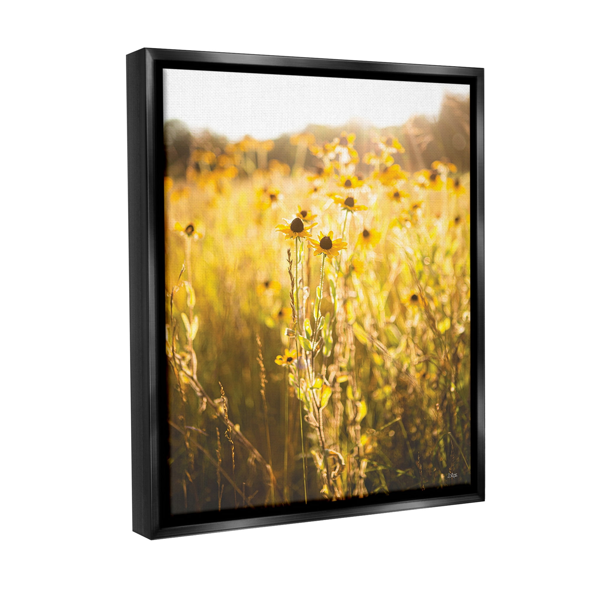 Stupell Industries Sunlit Daisy Meadow Landscape Photography Black Floater Framed Canvas Art Print Wall Art, 25 x 31