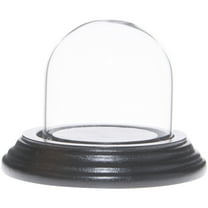Plymor 2" x 2" Mini Glass Display Dome Cloche (Black Wood Veneer Base)