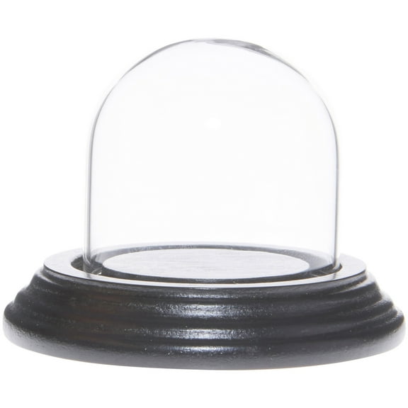 Plymor 2" x 2" Mini Glass Display Dome Cloche (Black Wood Veneer Base)