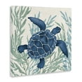thumbnail image 3 of Stupell Industries Radiant Sea Life Tortoise Canvas Wall Art design by Paul Brent, 24 x 24, 3 of 7