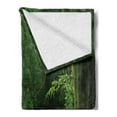 thumbnail image 2 of Tropical Soft Flannel Fleece Blanket, Tropical Jungle Forest Trees Pathway Foliage Wilderness Nature Landscape Picture, Cozy Plush for Indoor and Outdoor Use, 60" x 80", Green Brown, by Ambesonne, 2 of 5