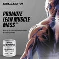 thumbnail image 6 of Cellucor Cor-Performance Creatine Powder, for Increasing Strength, Unflavored, 72 Servings, 6 of 9
