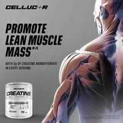 Cellucor Cor-Performance Creatine Powder, for Increasing Strength, Unflavored, 72 Servings
