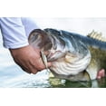 thumbnail image 3 of Berkley PowerBait The Champ Minnow Soft Fishing Bait, 3 of 3