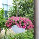 thumbnail image 5 of Cesta colgante de ratán de tamaño mediano, con diseño de barrera de agua, sin raíces podridas, ideal para jardinería y decoración del hogar., 5 of 6