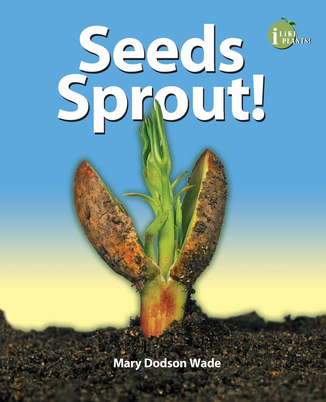 Seeds Sprout!