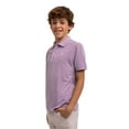 thumbnail image 5 of U.S. Polo Assn. Boys Pique Polo Shirt, 2-Pack, Sizes 4-18, 5 of 11