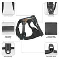 thumbnail image 6 of Lsque Starry Light White Horse Dog Harness, No-Pull Pet Harness with 2 Leash Clips, Adjustable Soft Padded Dog Vest with Easy Control Handle for Large Dogs-, 6 of 9