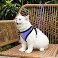 thumbnail image 5 of Adjustable Soft Mesh Cat Harness and Leash Set with Reflective for Secure Indoor and Outdoor Walking, 5 of 5