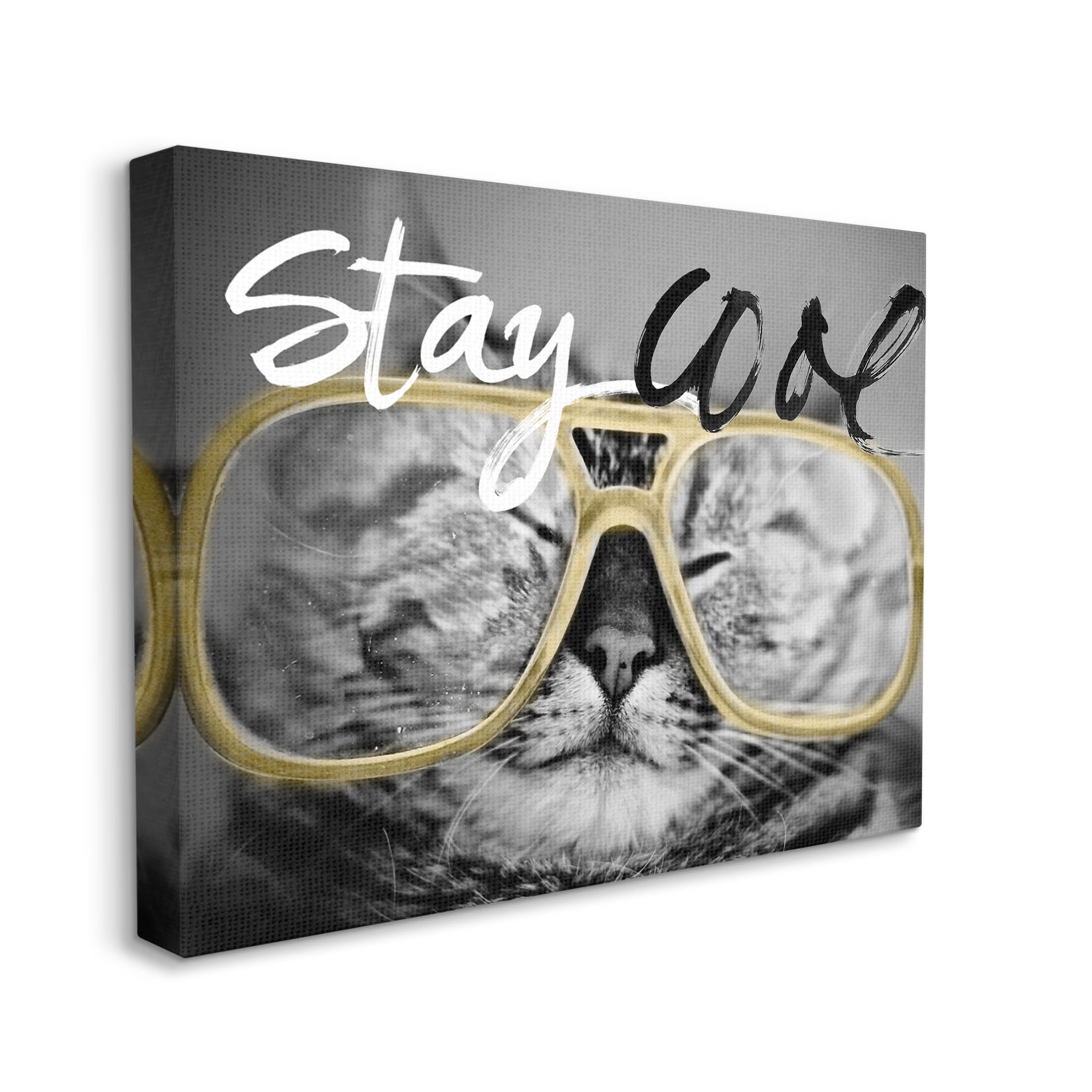 Stupell Industries Stay Cool Cat Glasses Graphic Art Gallery Wrapped Canvas Print Wall Art, Design by Sundance Group
