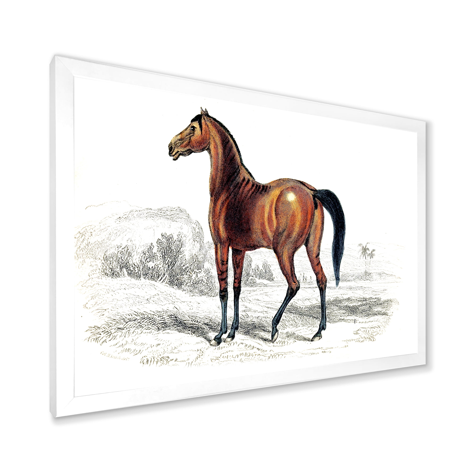 Designart 'Ancient Horse' Farmhouse Framed Art Print