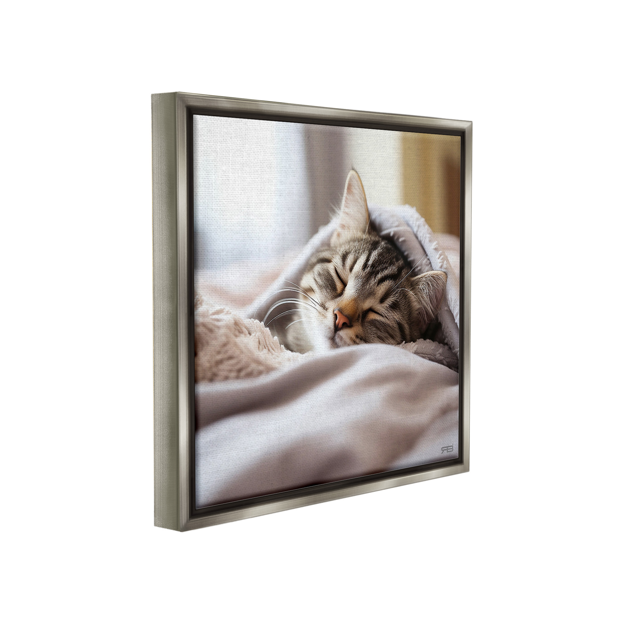 Stupell Industries Cozy Sleeping Kitten Animals & Insects Painting Gray Floater Framed Canvas Art Print Wall Art, 25 x 25