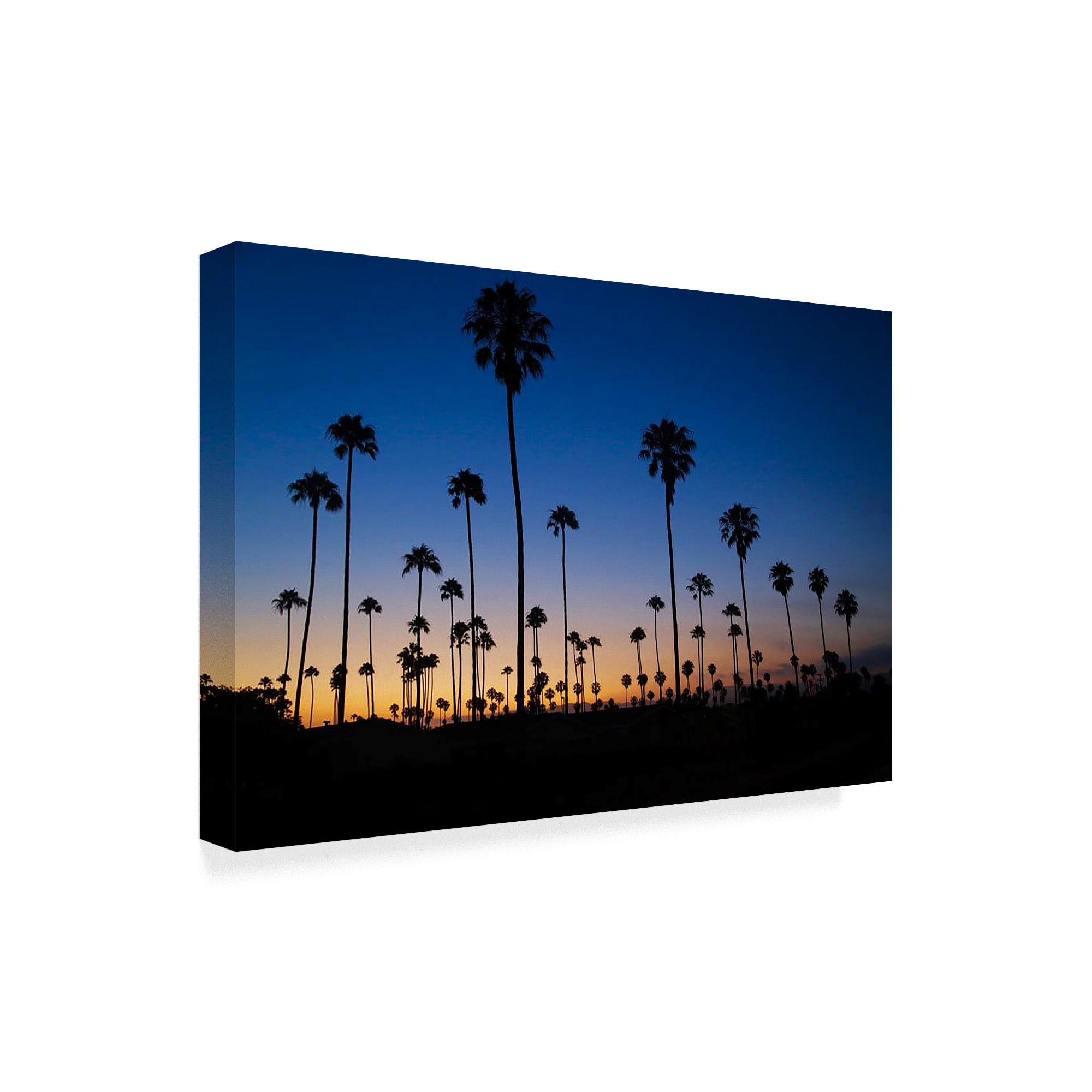 Trademark Fine Art 'Palm Trees Ventura' Canvas Art by American School