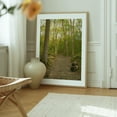 thumbnail image 6 of Ferncliff Forest, Rhinebeck 01 - Rhinebeck New York Photography Forest Nature Landscape Scenic Rustic Autumn Botanical Oak Framed Wall Art Print 12 x 16 inches, 6 of 12