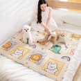 thumbnail image 3 of EastVita Cats Dogs Bed Cover For Pets Couch Protection Blankets Anti-slip Rug Pads Reusable Furniture Protector Pad, 3 of 7