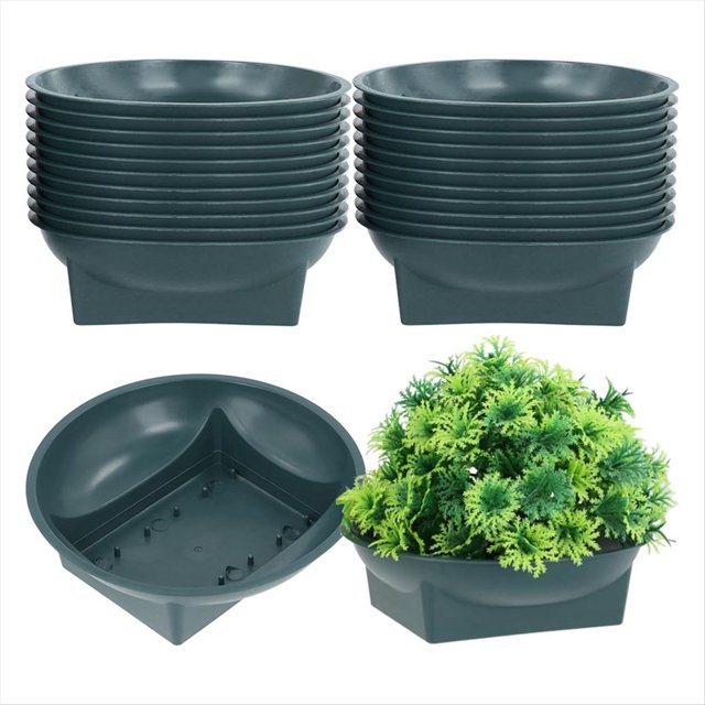 24 para Arreglos Florales, Ideales para Bodas, Fiestas y Flores Frescas.