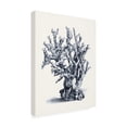 thumbnail image 2 of Vision Studio 'Blue Antique Coral II' Canvas Art, 2 of 4