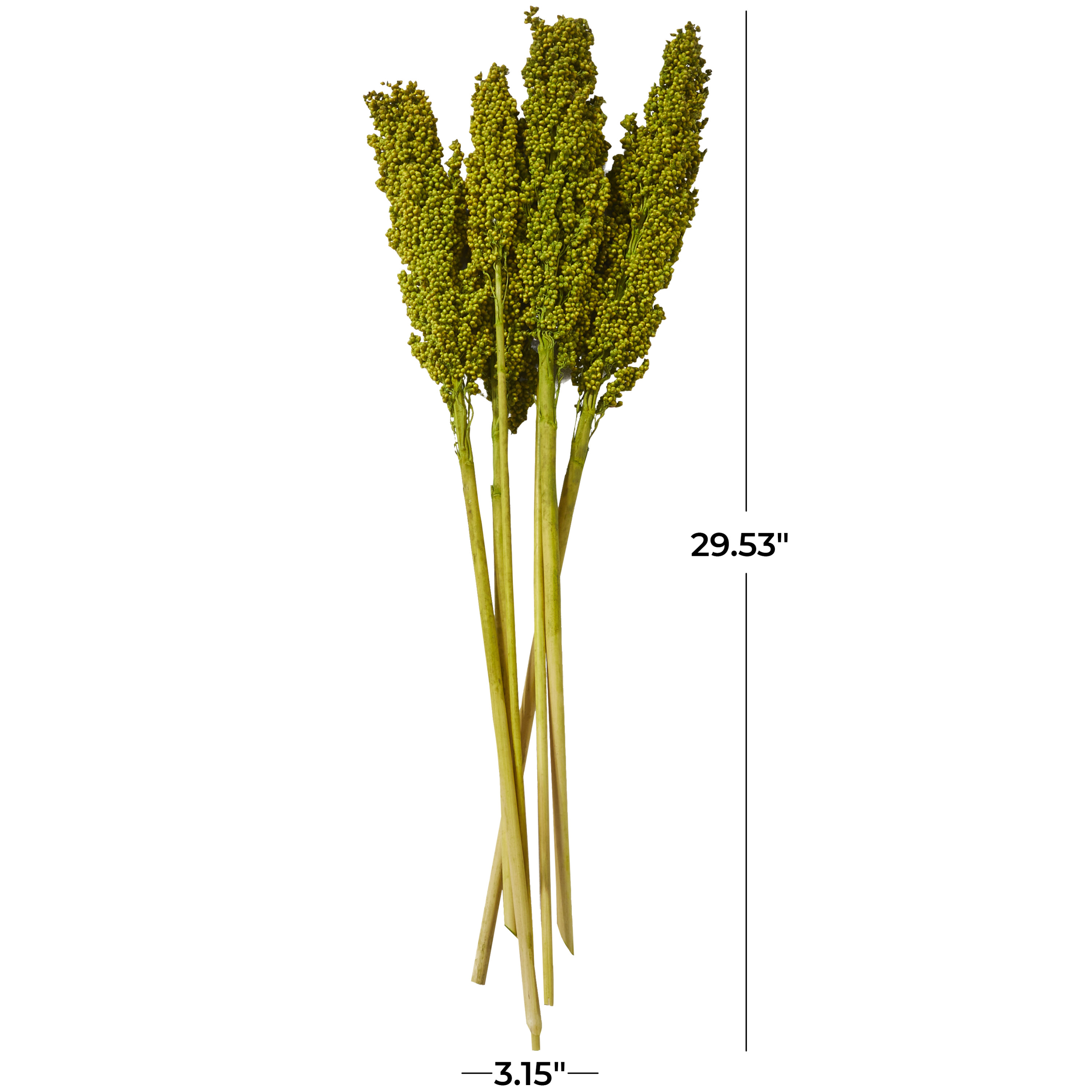30" Dried Plant Natural Foliage Corn Maze Bouquet with Long Stems, by DecMode