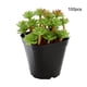 thumbnail image 1 of Macetas cuadradas para , juego de macetas para plantas, contenedor reutilizable para plántulas, maceta de para trasplante Estilo B, 1 of 8