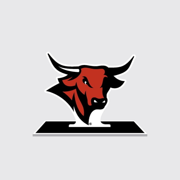 Color Shock Products NCAA Officially Licensed School Mascot Standee