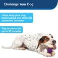thumbnail image 4 of Soporte para golosinas PetSafe Busy Buddy Nobbly Nubbly para juguetes para perros, tamaño grande, 4 of 6