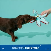BARK Carl Starfish Plush Dog Toy, Extra Small to Medium