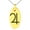 Gold, variant on Stainless Steel Solar System Planetary Jupiter Engraved Small Oval Charm Pendant Necklace