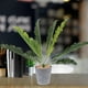 thumbnail image 4 of 2 plantas de serpiente artificiales, sansevieria falsa, plantas artificiales en maceta para interior y exterior., 4 of 5