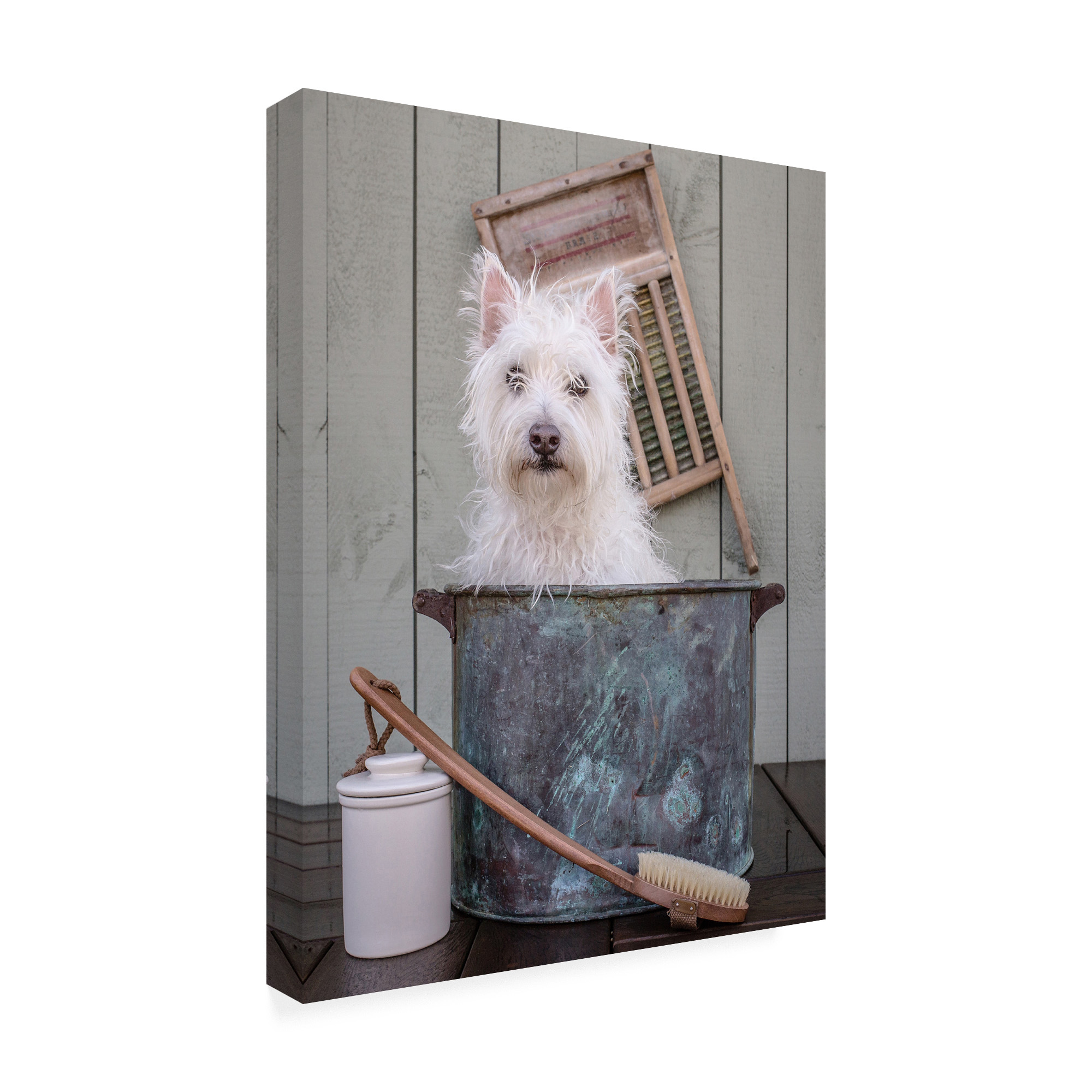Trademark Fine Art 'Washing the Dog' Canvas Art by Edward M. Fieldin