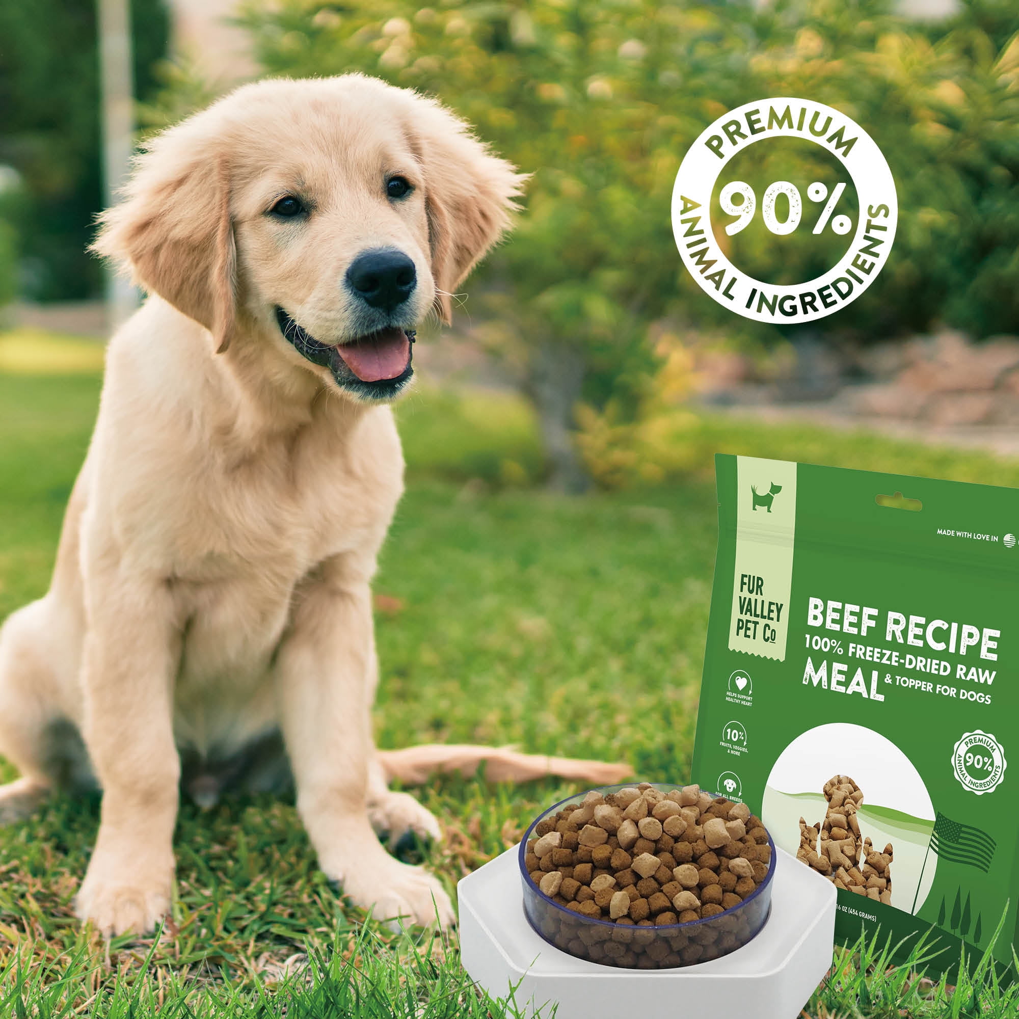 (6 pack) Fur Valley Pet Co. Freeze Dried Beef Recipe Dog Food and Topper, 16 oz. Bag