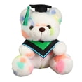 thumbnail image 1 of Adorable Bear Doll Cross border Plush Toy Graduation Doll Bachelor Bear Perfect Graduation Season Commemorative Gift, 1 of 4