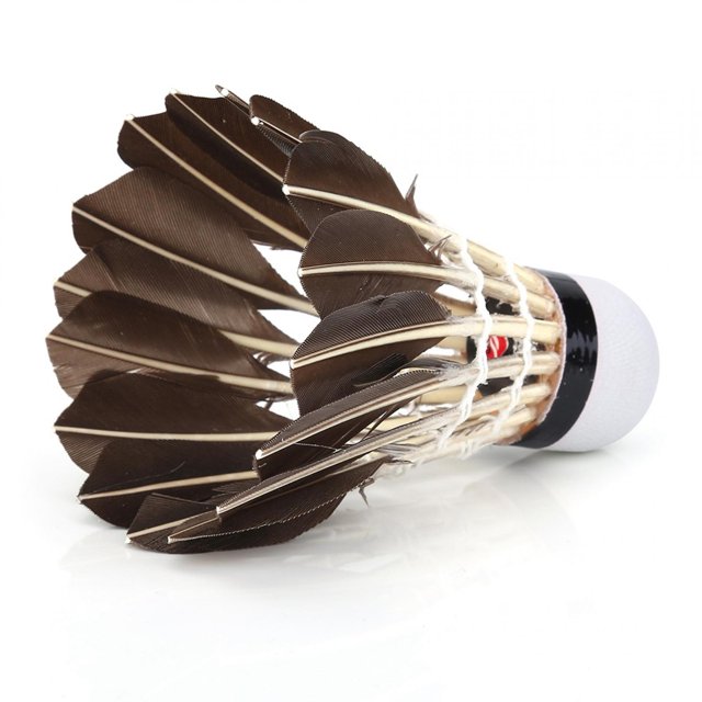 Balles de Badminton, Ensemble de Badminton Portable Robuste, pour Entraînement de Compétition Jeu Décontracté