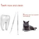 thumbnail image 4 of Juego de herramientas dentales de acero inoxidable de 5 piezas Adepaton 2034759, 4 of 9