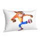 thumbnail image 2 of Fundas de almohada Crash Bandicoot, fundas de almohada mullidas súper suaves y acogedoras con cremallera, 20 x 30 pulgadas, dormitorio, sofá, sillón, funda de almohada para todas las estaciones, 2 of 8
