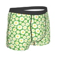 thumbnail image 2 of KLL Daisies Flowers Men's Cotton Boxer Briefs Underwear-XX-Large, 2 of 8