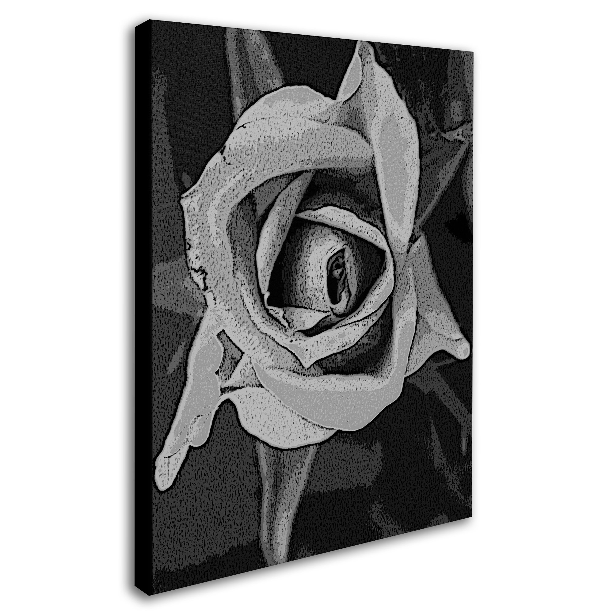 Trademark Fine Art "Black & White Rose" Canvas Wall Art by Patty Tuggle