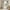 Beige, variant on Western 30%-50% Blackout Curtains 42"Wx84"L Brown Rustic Boho Aztec Window Curtains,Country Cabin Lodge Curtains & Drapes Adults Men Southwestern Tribal Curtains 2 Panels