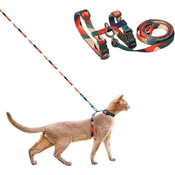 Set de arnés y correa para gatos pidan ajustable